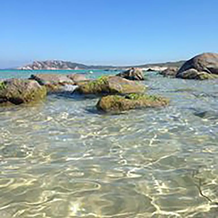 Panzió B&B La Tasgia Aggius