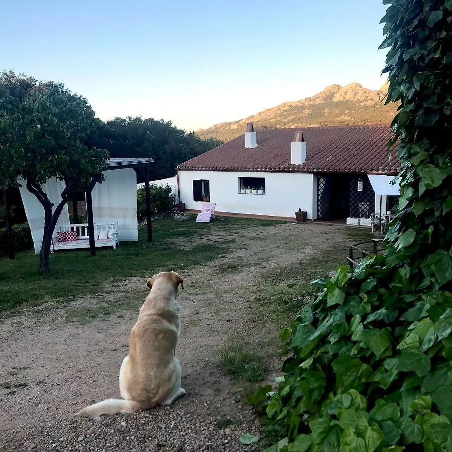 B&B La Tasgia Aggius